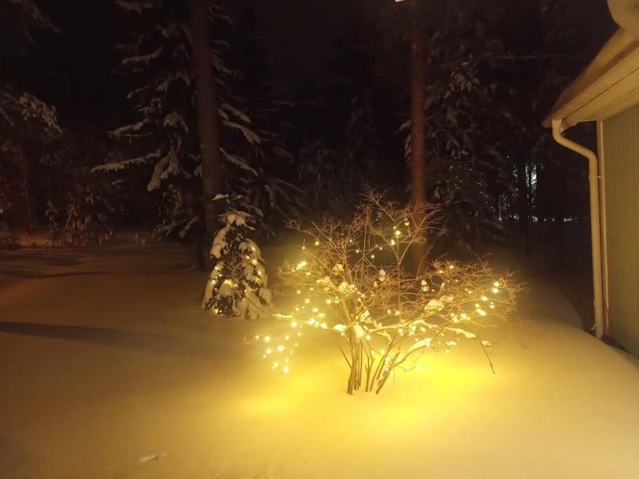 Cozy House Close To Santavillage ロヴァニエミ エクステリア 写真